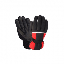 Ski Gloves